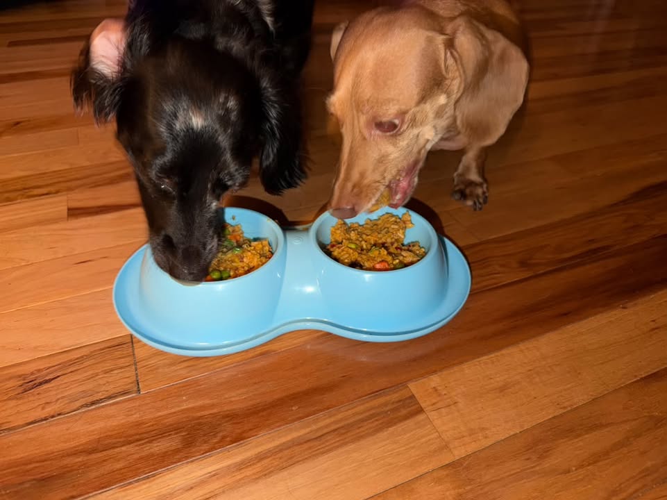 Reese and Opal, Canton, NC